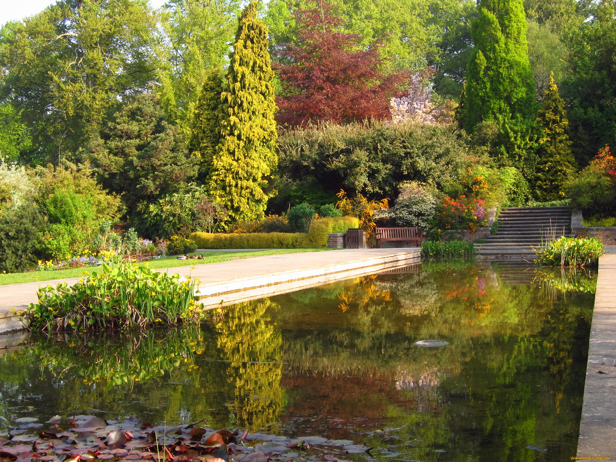 hill, garden, london, , , , , , 